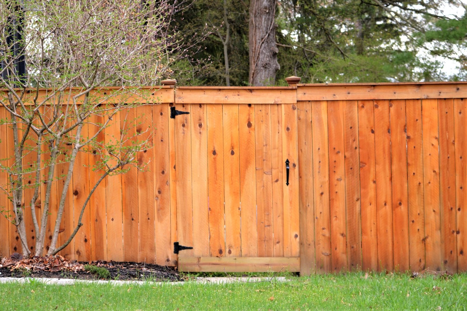 Wood Staining & Resurfacing